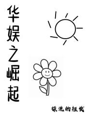 华娱之新崛起平板电子书